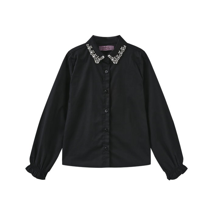 Beaded Collared Trim Blouse