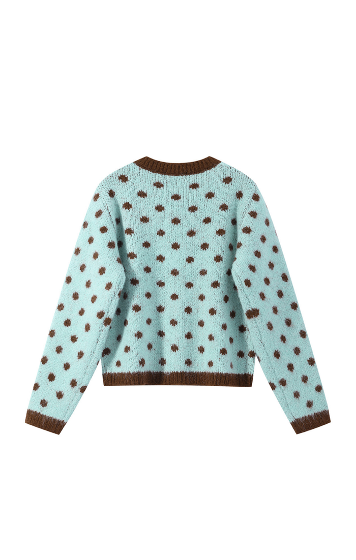 Blue & Brown Dotty Cardigan