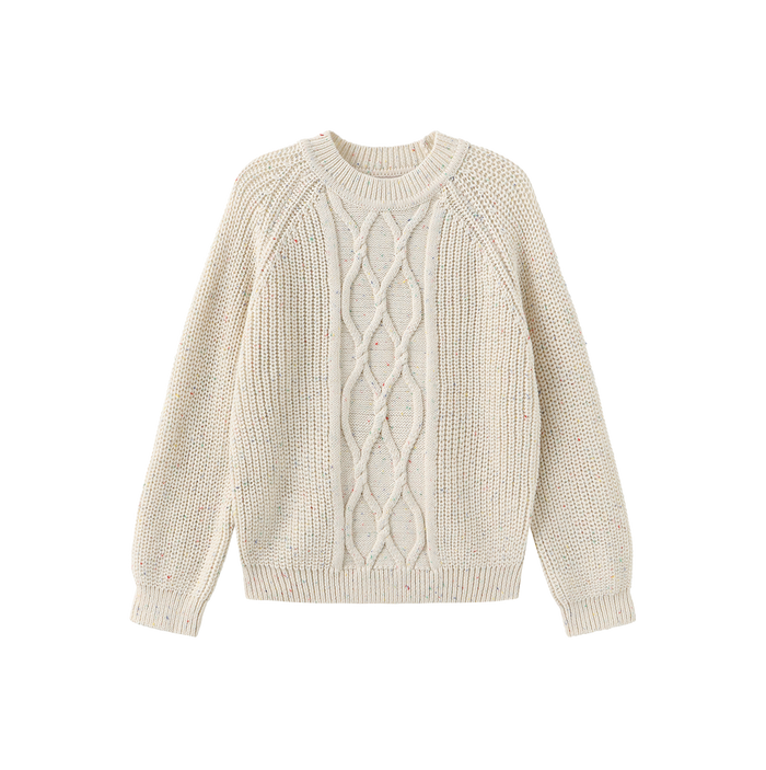 Marled Knit Cable Pattern Sweater