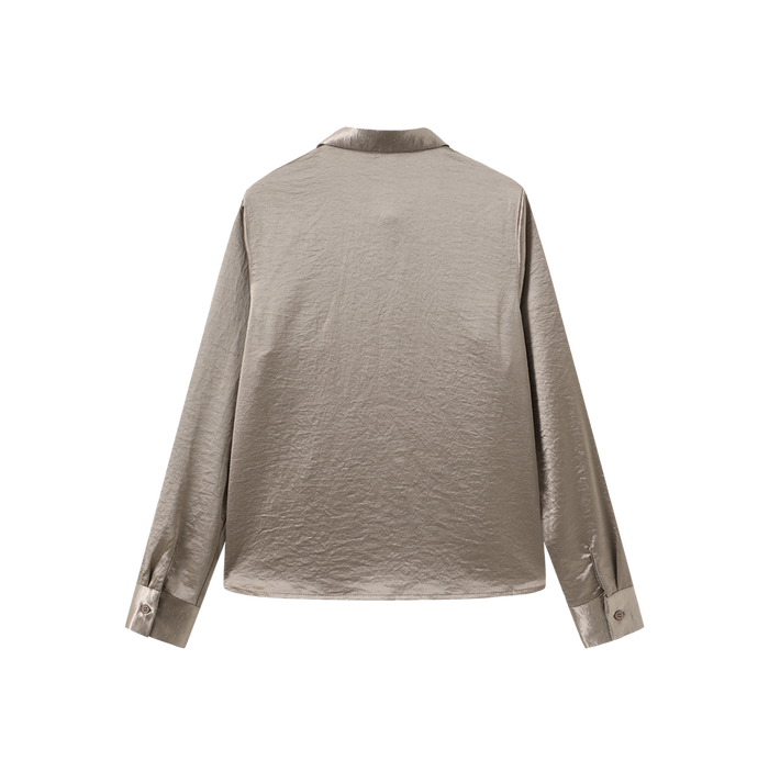 Metallic Silk Blouse