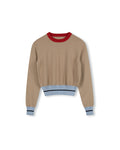 Multi Colored Crop Long Sleeve Sweater - Junees
