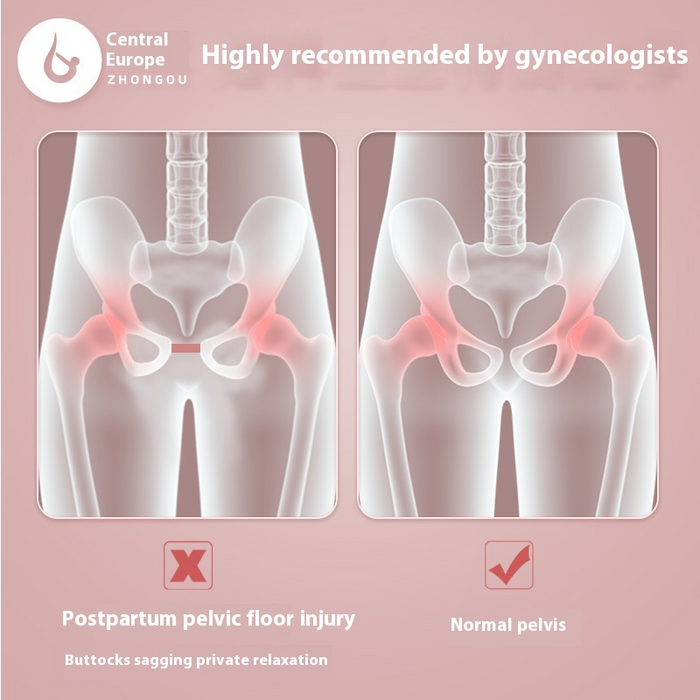 Pelvic Floor Muscle Trainer