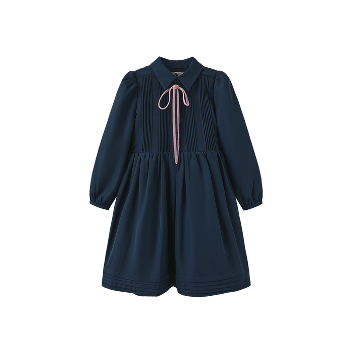 Pleated Detailed Waisted Dress