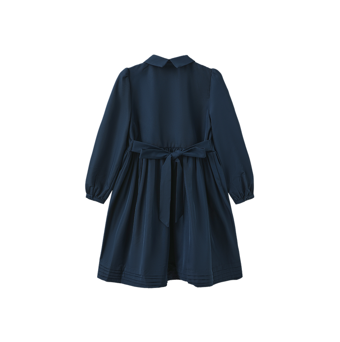 Pleated Detailed Waisted Dress