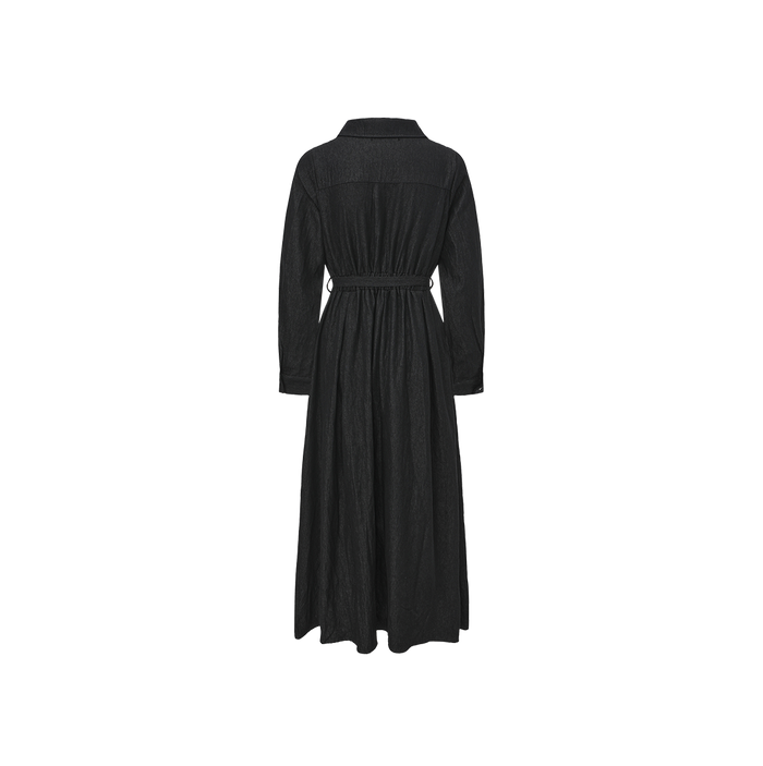 Raincoat Zipper Dress