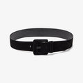 Image of the Sedgwick Belt | Lead