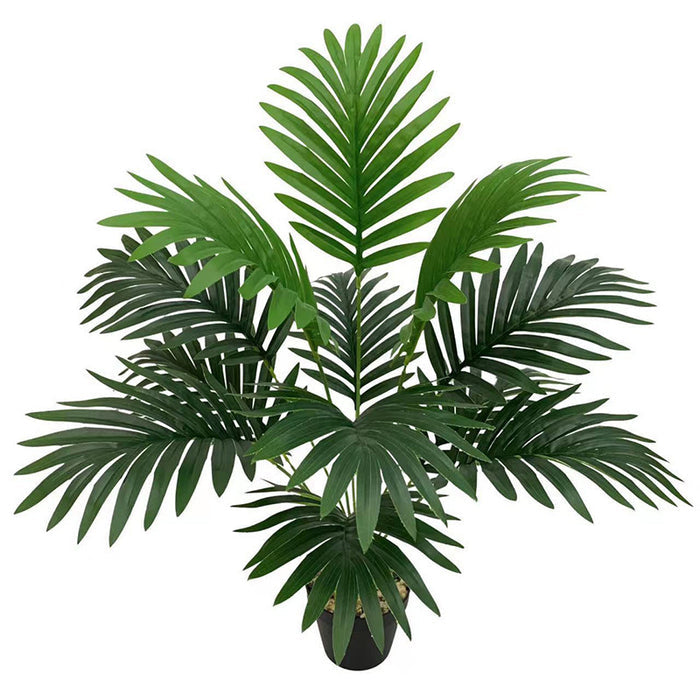 12 Head Areca Palm