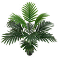 12 Head Areca Palm