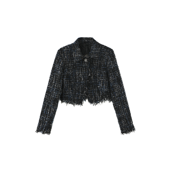 Tweed Single Button Blazer