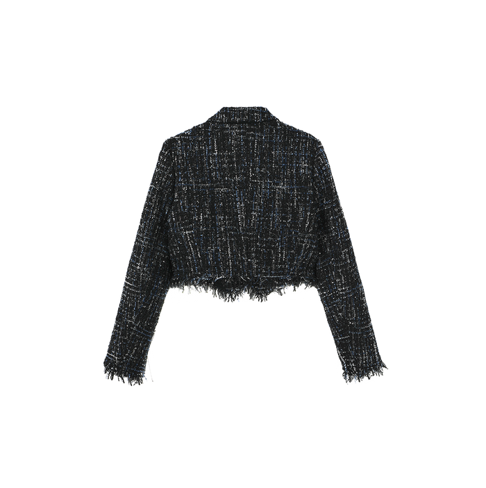 Tweed Single Button Blazer