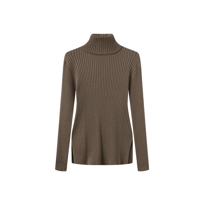 Wide Ribbed Knit Turtleneck